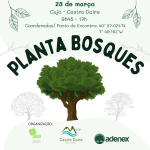 Planta Bosques