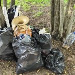 Plogging DELOITTE, ZERO e TREVO – Movimento, cidadania e cuidado pelo planeta